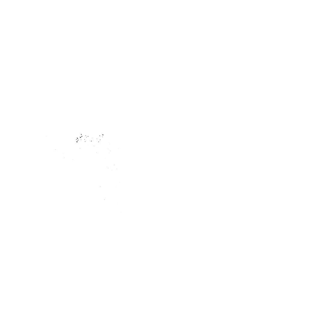 Mobilidade e Ambiente